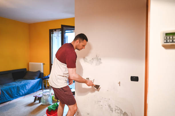 Best Affordable Mold Removal  in Buhl, ID